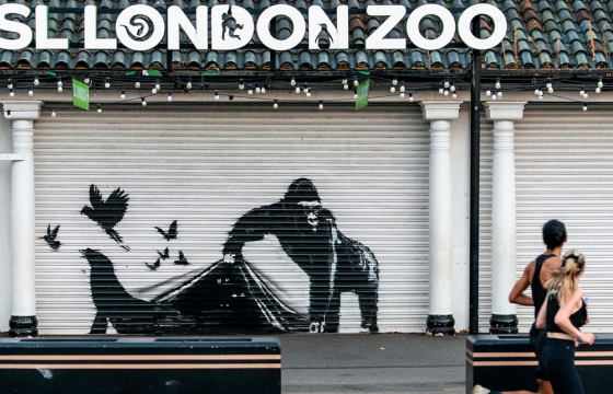And on Day 9… Banksy's Gorilla Has Let the Animals Out of the London Zoo